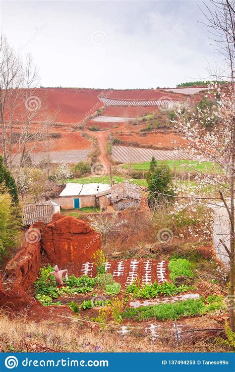 Scenery Rural South Yunnan China Vegetable Garden And Straw Puppet On
