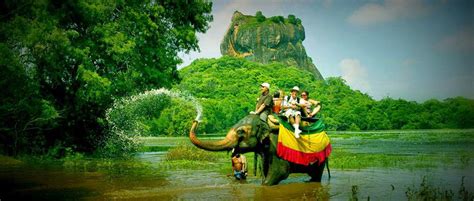 Day Tour Packages In Sri Lanka Sri Lanka Tourism Hub