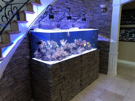 Best Ideas To Arrange An Aquarium Or Fish Tank In Home Live Enhanced