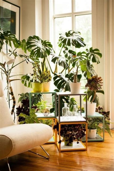 30 Nice Indoor Plants Decor Ideas For Small Apartment Plant Decor