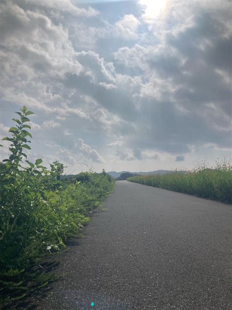 タロ散歩 双極性障害 寛解を目指す坂本太郎のブログ