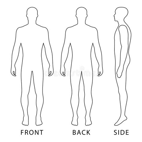human body outline front back stock illustrations 645 human body outline front back stock