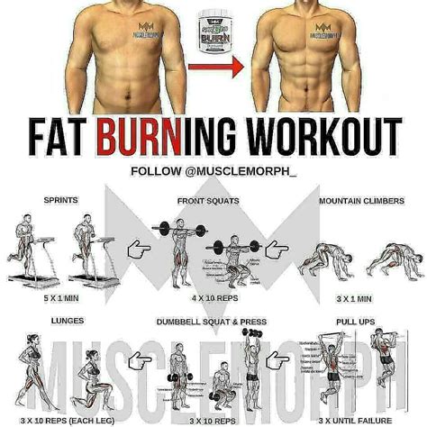 6 Day Fat Burning Calisthenics Workout For Beginner Fitness And