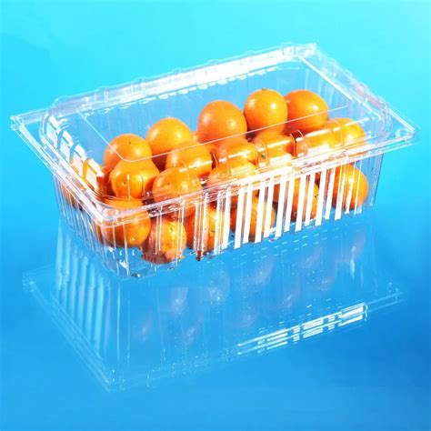 Disposable Plastic Fruit And Vegetable Container Clamshell Clear