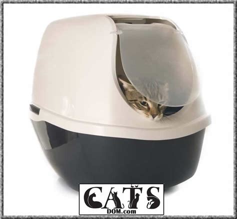Review Of The Best Litter Box For Multiple Cats 2023