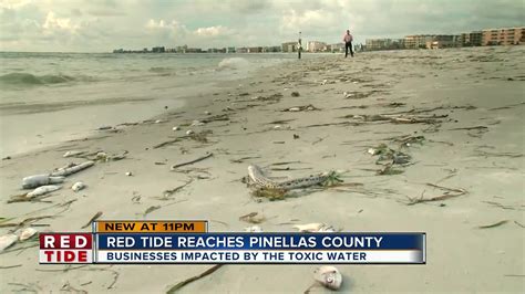 Businesses Trying To Ride Out Red Tide