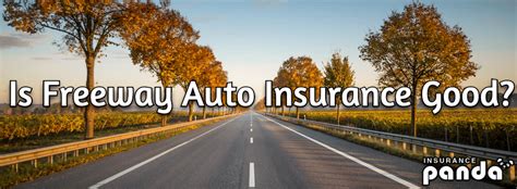 Fun is like life insurance; Is Freeway Auto Insurance Good? - Freeway Insurance Review