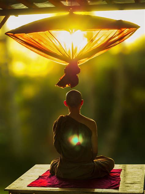 Free Photo Theravada Buddhism Meditate Umbrella Monk Meditating