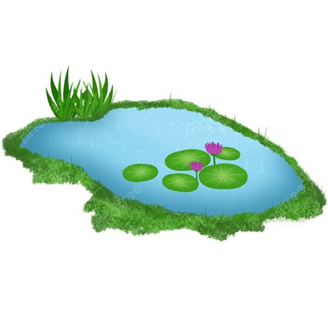 연꽃과 잔디와 연못 그림 일러스트 연못 로터스 수력 발전소 Png 일러스트 및 Psd 이미지 무료 다운로드 Pngtree
