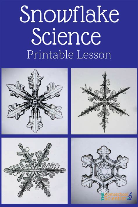 Snowflake Science Printable Lesson The Homeschool Scientist Winter