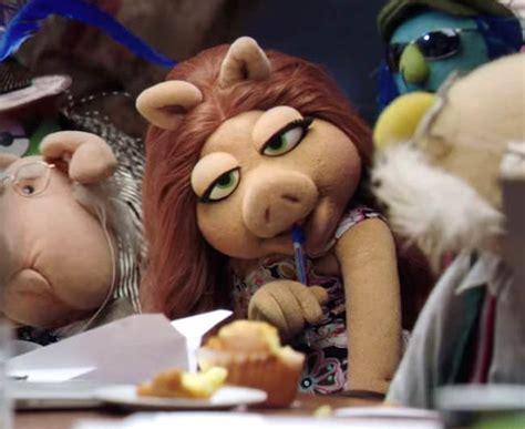 What Is Your Opinion On Denise From The Muppets 2015 Tv Show
