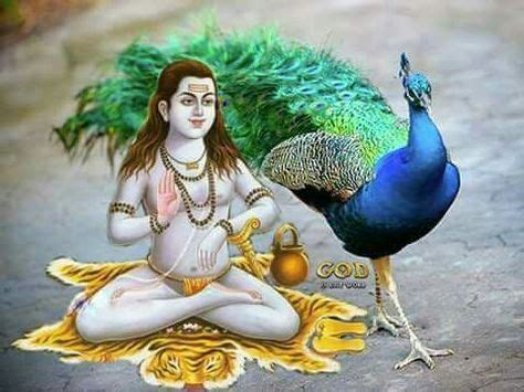 And it also provide many more feature like online video and audio. Download Baba Balak Nath Wallpapers / Baba Balak Nath ...