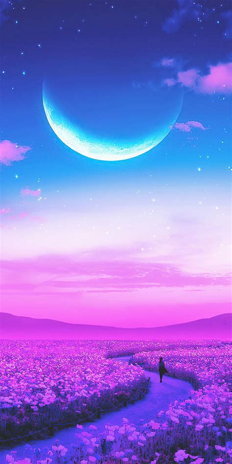 1080x2160 Day Dreaming Lavender Field 4k One Plus 5thonor 7xhonor