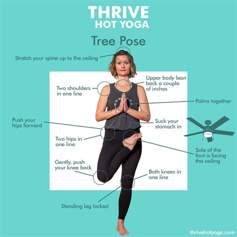 Tree Pose — Thrive Hot Yoga