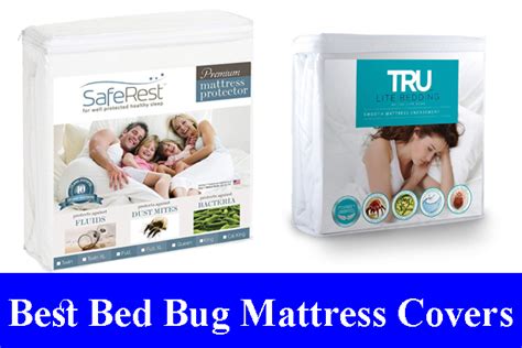 Best Bed Bug Proof Mattress Covers Reviews 2022 All Time Reviews