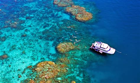 Cairns Reef Tours And Dinner Cruise Package Au