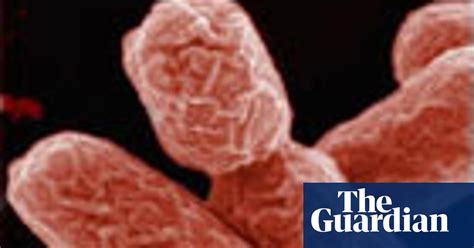 Food Poisoning Reminds Us That Bacteria Do Have Sex Science The Guardian
