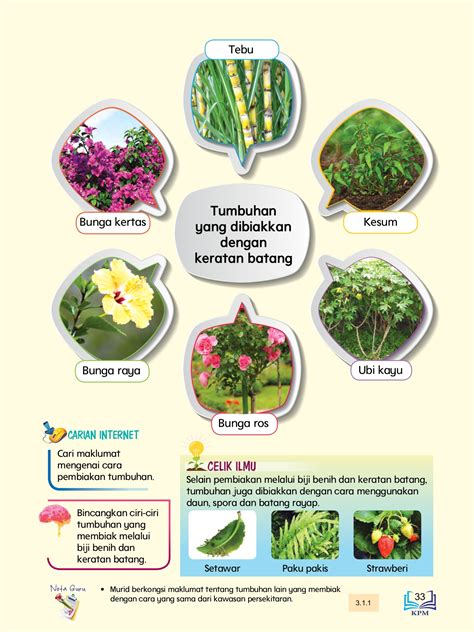 Sains Tahun 3 Tumbuhan Tahun 3 Sains Cara Pembiakan D - vrogue.co