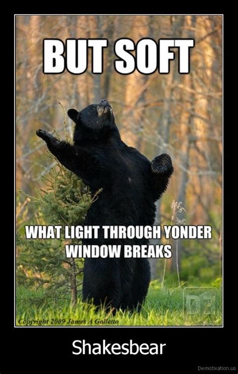 Funny Pictures Bears Dump A Day