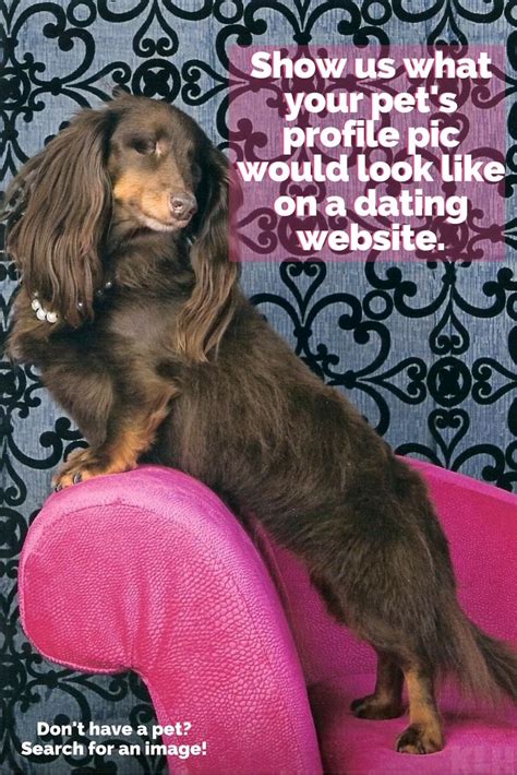 I mean, it's not what we want anyway, arranged marriages, like that's not actually what we want. What would your Pet's dating profile pic look like? Show ...