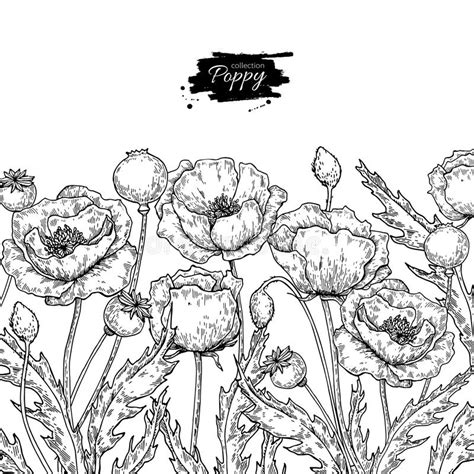 Vector El Ramo Con La Flor De Tagetes O De La Maravilla, El Brote Y La