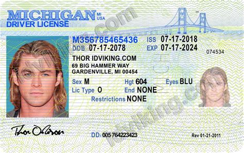 Where Is Driver License Number Located Michigan Lopauthentic