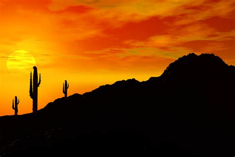 Pin By Prairie Flower On Desert Scenes Sunset Cactus Sunset Desert