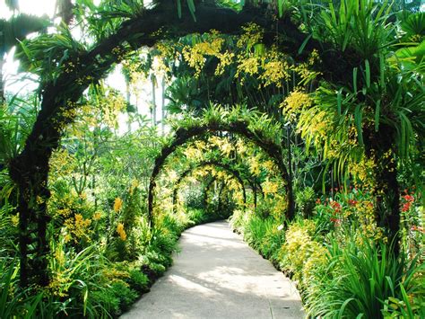 Về mount kinabalu botanical garden. Singapore Botanic Gardens, Singapore, Singapore - Park ...