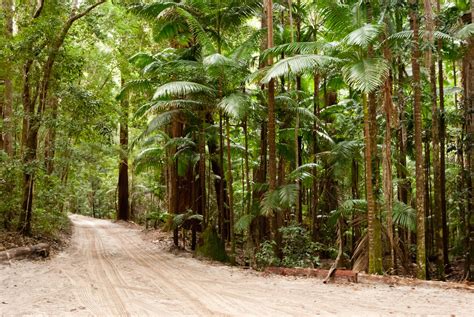 Fraser Island Australias Unesco World Heritage Paradise