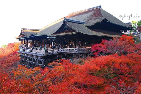 10 Best Places To Visit In Japan Visa Help