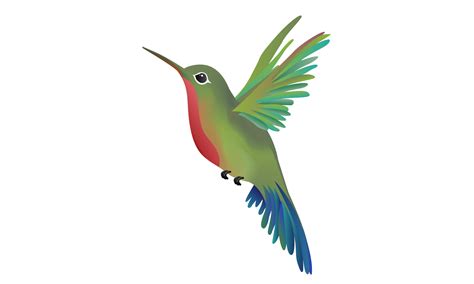 Hummingbird Png