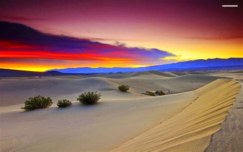 Desert wallpaper | 1920x1200 | #43128