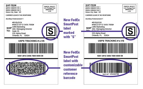 34 Void Fedex Label Labels For Your Ideas C17