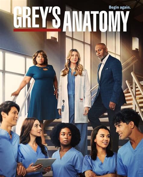 Grey S Anatomy Gu A De Las Temporadas Sensacine Com Mx