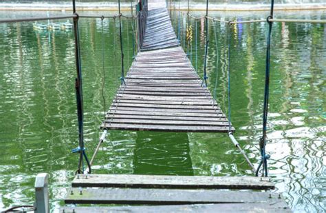 Broken Bridge Stock Photos Pictures And Royalty Free Images Istock