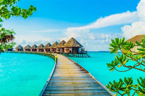 Why You Want To Visit The Maldives Travel Ideas
