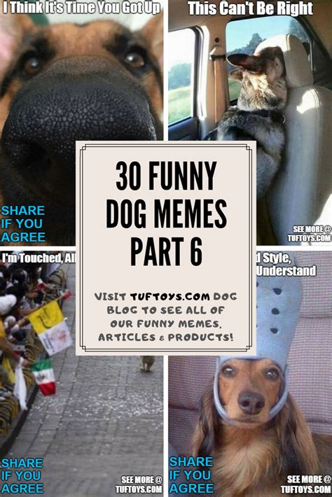 Funny Dog Memes Part 6