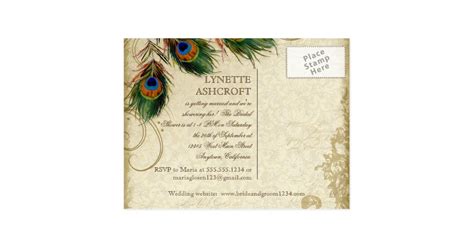 Peacock And Feathers Formal Bridal Shower Silver Postcard Zazzle