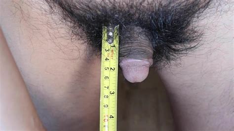 Short Penis Jason Measuring His Flaccid Penis Gay XHamster