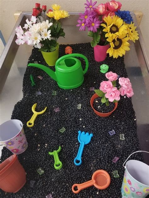 Check spelling or type a new query. Garden Sensory Bin - Black beans, dollar store pots ...