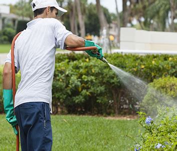Customer service kept us updated on the status of when they will come to do the work etc. M&M Pest Control Services | Herbal|Pest Control Service in ...