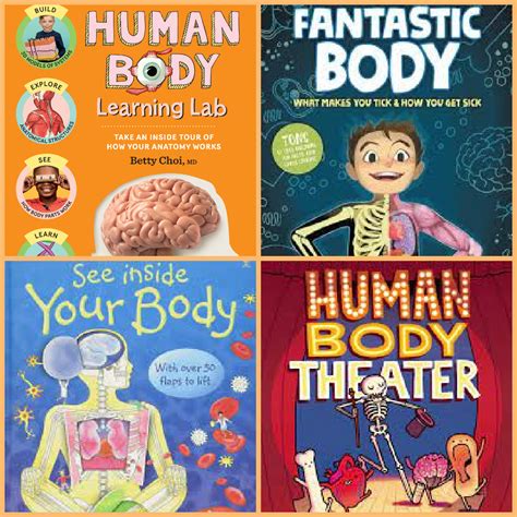 10 Amazing Human Body Books For Kids Of All Ages