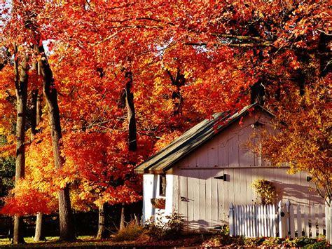 Autumn Springhouse Photograph By Greg Kear Fine Art America