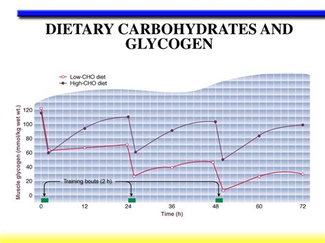 Carbohydrates, fat and protein all provide energy, but your muscles rely on carbohydrates as their main a diet that is low in carbohydrates can lead to a lack of energy during exercise, early fatigue and delayed recovery. PPT - Preparing the Body for Sport PowerPoint Presentation ...