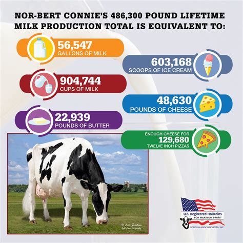 14 Year Old Registered Holstein Breaks Record For Lifetime Milk Dairy