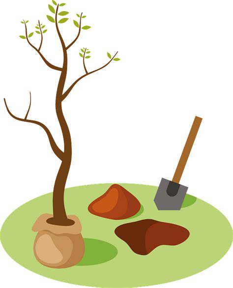 Free Tree Clipart Images