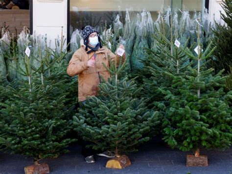 Pohon Natal Yang Lebih Kuat Dan Ramah Lingkungan Tagar
