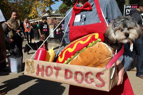 30 Best Costumes At Tompkins Square Dog Halloween Parade Dog