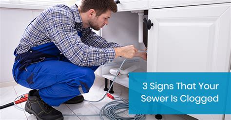 3 Signs That Your Sewer Is Clogged Drain King Plumbers