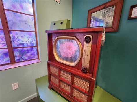 Sunken Gardens gets a new window into the past • St Pete Catalyst